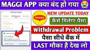 Maggi Earning App 2