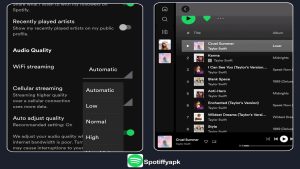 Spotify 1