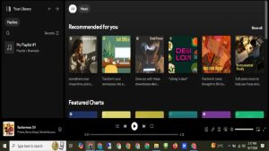 Spotify 3